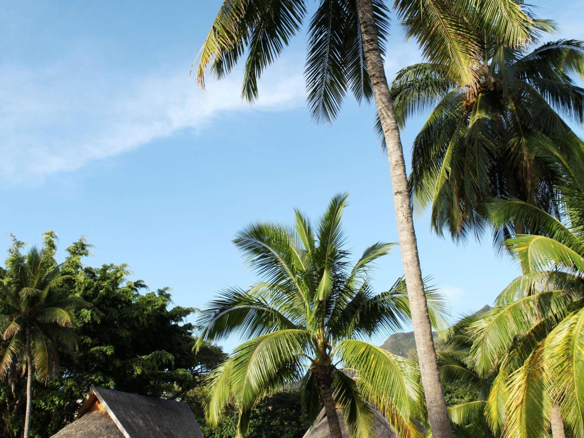 Sofitel Kia Ora Moorea Beach Resort Maharepa  Exterior photo